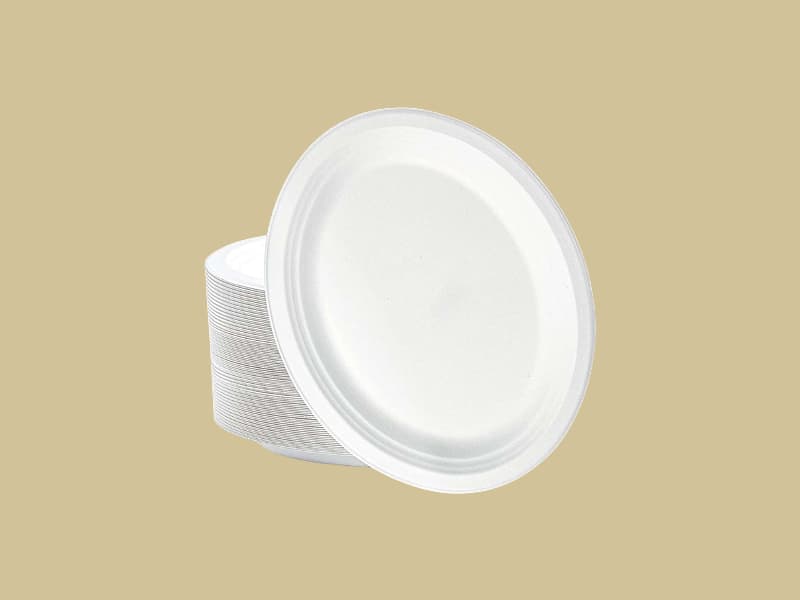 Disposable Bagasse Pulp Plain Round Plates Big - 9 Inch | 11 Inch