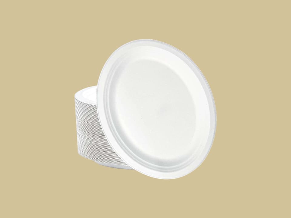Bagasse Round Plates Big | Disposable Plain Plates - 9 Inch | 11 Inch